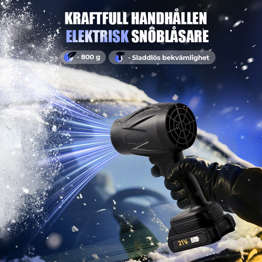 🔥2025 Bästsäljare⌛Multifunktionell handhållen blåsmaskin -1050W(💥50 % rabatt)