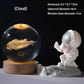 🥳2026 HOT SALE🥳💞50 000+ SÅLDA!💫🌌 Ta med galaxen in i ditt rum. 3D-kristallkula nattlampa – 49 % RABATT! ✨🌙