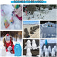 ⛄Endless Fun Snowball Kit