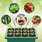 💎60% RABATT! 💎 Groningsbrickor med odlingsljus – Fuktighetskontroll, transparent och fullspektrumljus 🌱💡