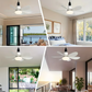 3-in-1 Portable Ceiling Fan & Light With Remote Control