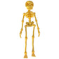 3D-printad magnetisk figur i form av ett vintage-skelett 🎃