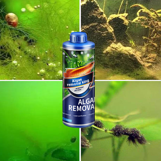 【Algae King】Crazy Aquatic Weed Algborttagare