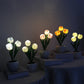 LED Tulip Night Light Flower bordslampa🌷✨