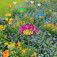 Vattenmatare för bin och fjärilar med blomdesign