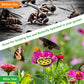 Vattenmatare för bin och fjärilar med blomdesign