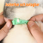 Intelligent laserhalsband med USB-laddning för katter