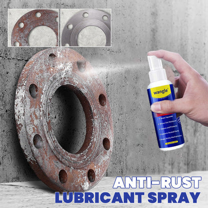 Rostskyddande smörjspray och rostborttagare