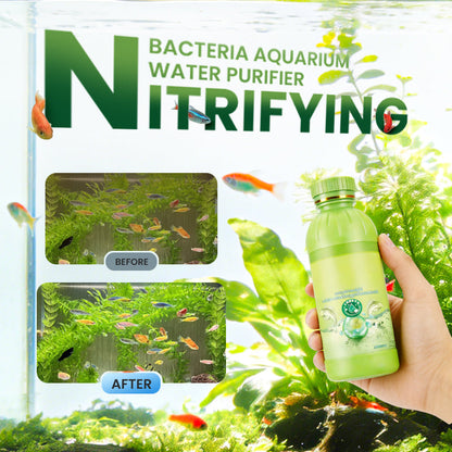 Vattenberedningsmedel för akvarium med nitrifierande bakterier