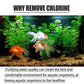 ✨️🐟️Fish Dammar Akvarier Kloravskiljning Tablets🌬️