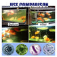 ✨️🐟️Fish Dammar Akvarier Kloravskiljning Tablets🌬️