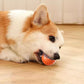 Varm försäljning 49% rabatt🎁Smart Pet Bounce interaktiv boll🐶