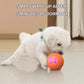Varm försäljning 49% rabatt🎁Smart Pet Bounce interaktiv boll🐶