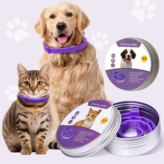 🔥 50% RABATT NU! Justerbart mygg- och insektshalsband för katter och hundar – snyggt, säkert & effektivt skydd 🦟🐾