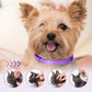 🔥Neue Produkte 2026🔥Verstellbares Moskito- und Insektizidhalsband für Katzen und Hunde