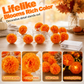 🔥🎁Nyhet 50 % RABATT🔥🎃✨ Halloween LED-Ljusslinga med Ringblommor – Skapa Magisk Höststämning Inomhus & Utomhus