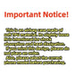 Romantic Lace Print TPU Phone Case