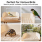 Automatic Bird Bath Basin with Shower