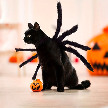 Halloween Plysch Spindeldräkt för Husdjur