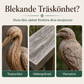Träåterställande konditioneringsolja