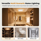 Rechargeable Motion Sensor Ceiling Light