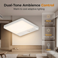 Rechargeable Motion Sensor Ceiling Light