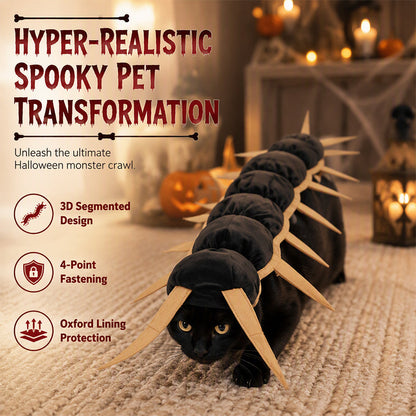 Läskig halloweenkostym för katt – hundrafoting