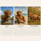 Väggkalender 2027 i A4 med sura highlandkor
