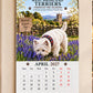 Väggkalender 2027 med west highland white terrier